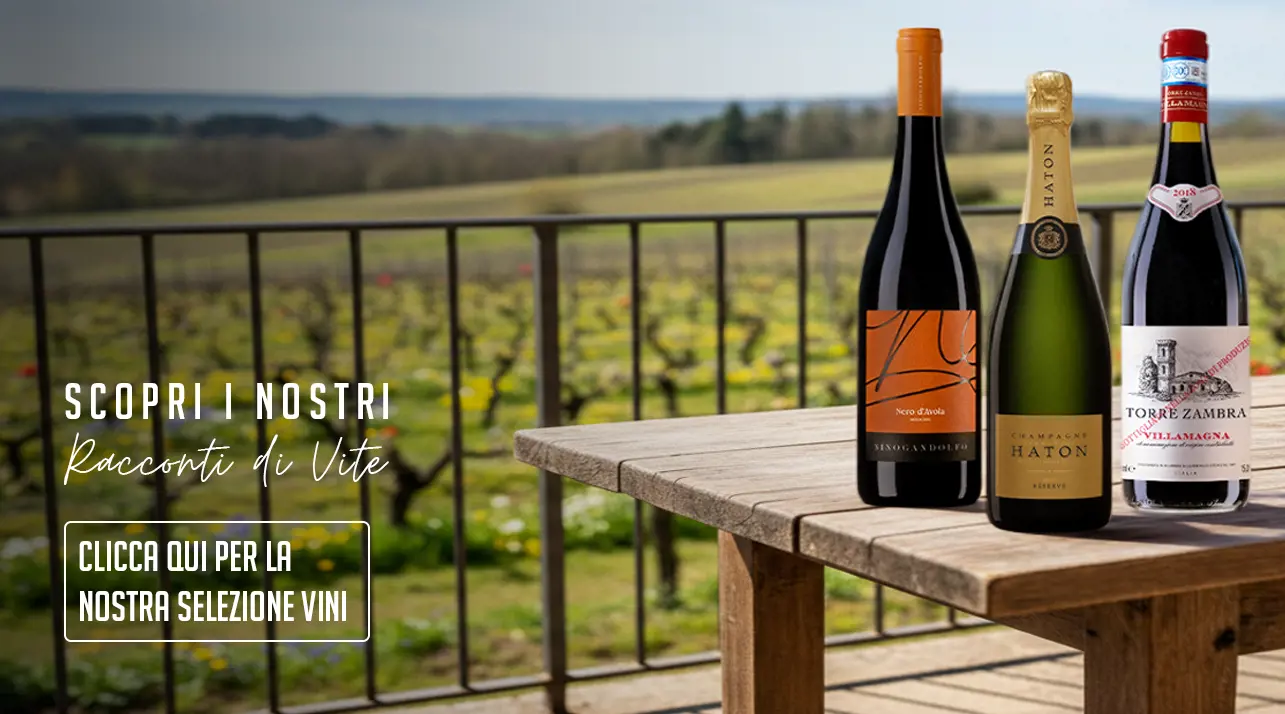 BANNER VINI MOBILE.png