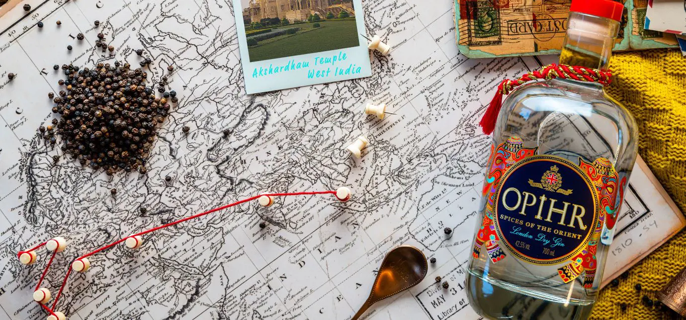 cover brand (17).jpg