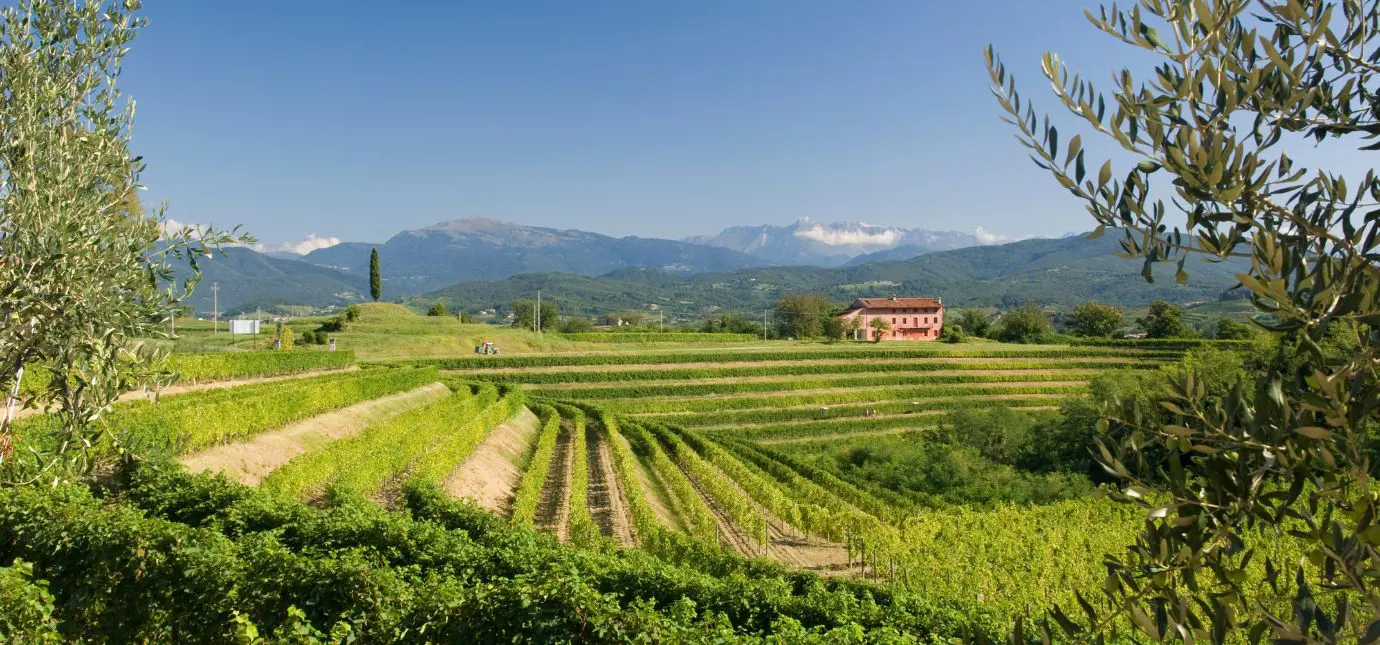 cover brand rocca bernarda.jpg