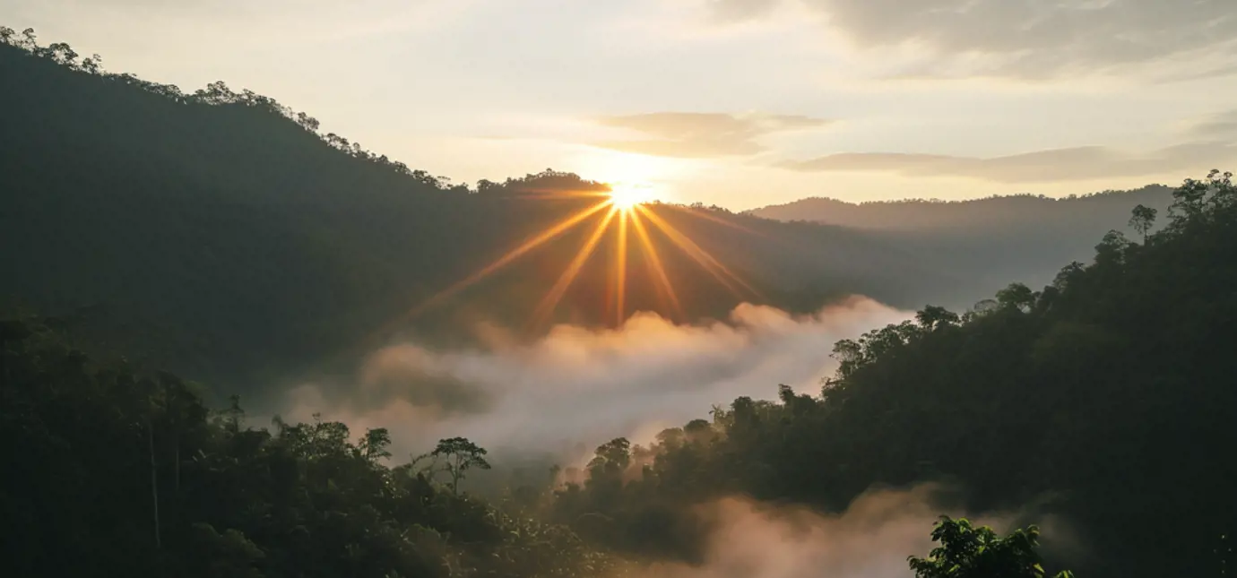 cover brand KOTA.png